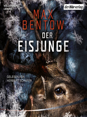 cover image of Der Eisjunge